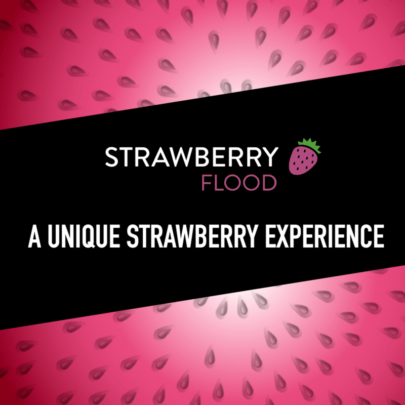 5 Gum Strawberry Flood Sugarfree Chewing Gum, Single Pack